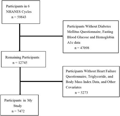 Association between triglyceride glucose-body mass index and heart failure in subjects with diabetes mellitus or prediabetes mellitus: a cross-sectional study